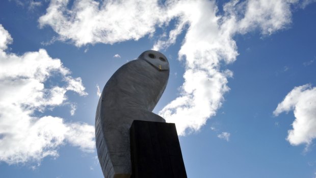 An owl sculpture, by Bruce Armstrong, keeps watch over Belconnen.