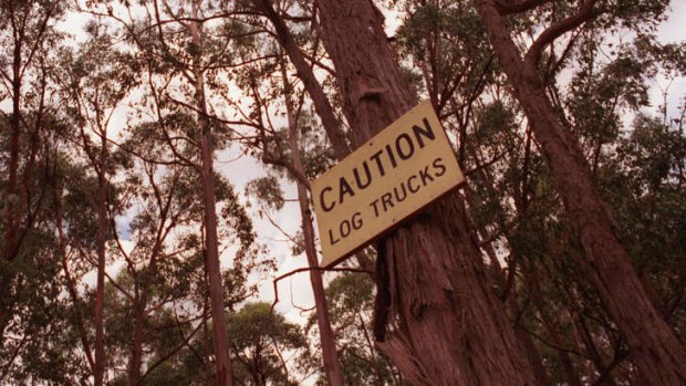 Logging in Leadbeater's possum habitat in Victoria is just one of many activities that have sparked criticism of VicForests.