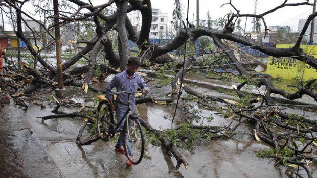 Aftermath: A man  makes his way around uprooted trees after Cyclone Phailin struck the city of Brahmapur, on the coast of Odisha.