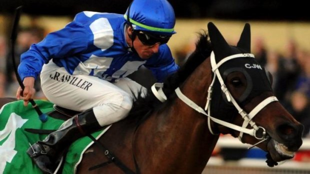 One to watch: Eigelstein will be in the mix at Rosehill on Saturday. 