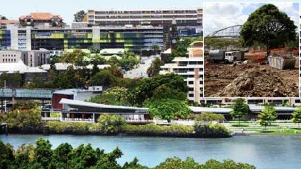 An artist's impression of the South Bank redevelopment. INSET: Earth works edge around the to-be-relocated fig tree.