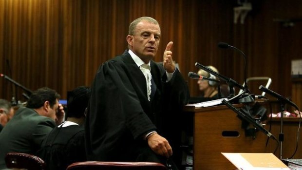 State prosecutor Gerrie Nel in court.