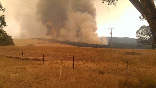 A bushfire burns out of control near Wagga Wagga, threatening properties.