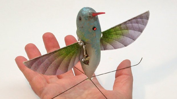 A bird-like unmanned aircraft that has been dubbed the Nano Hummingbird.