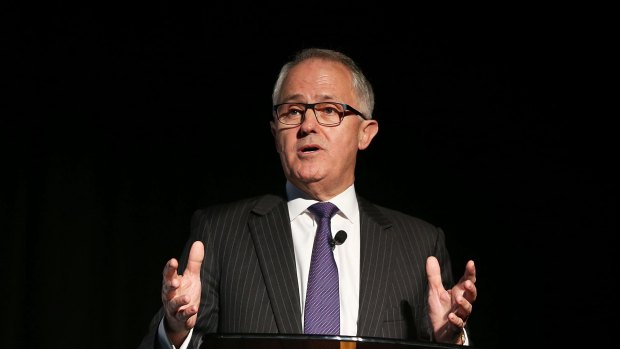 Communications Minister Malcolm Turnbull at the online copyright panel infringement forum on Tuesday.
