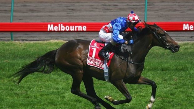 Big shoes to fill: Legendary three-time Melbourne Cup winner Makybe Diva.
