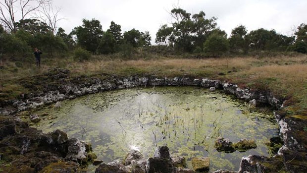 Various species have been discovered in western Victoria including near this volcanic stink hole.