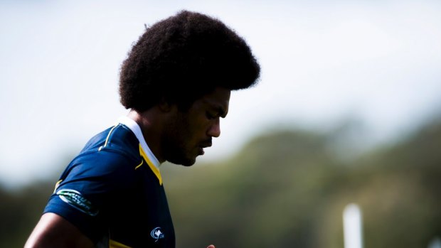 Future Wallaby: Henry Speight played for three years in Waikato but is likely to make his debut in the green and gold against the All Blacks when he becomes eligible in September.
