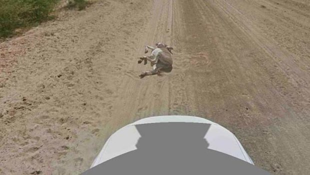Donkey down ... the image from Google Street View.