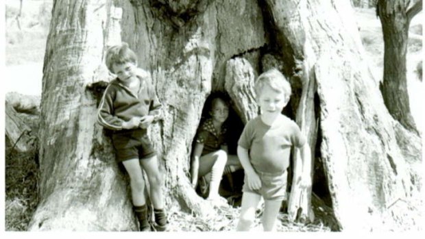 Sean, Kelly and John Woodland play at the Fairy Tree in the Spring of 1977.