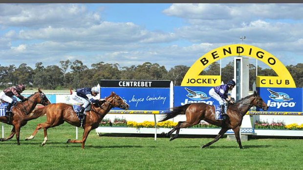 Tanby, Steven King up, wins the Bendigo Cup yesterday.