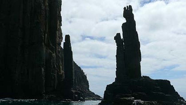 Top clockwise:  Bruny Island;  Wineglass Bay,  Cape Raoul; The Painted Cliffs; the avenue of macrocarpa pine trees at Darlington on Maria Island; a Bennetts wallaby; and Trousers Point.