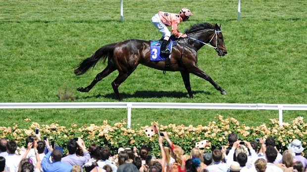 Black Caviar does it again, taking her winning streak to 16.