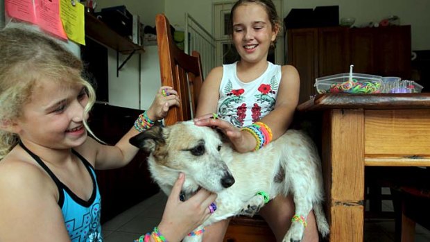 Canine capers: Isabelle (right) and Phoebe Myers get their dog into the loom band trend.