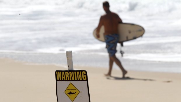 The surf break where Laeticia Brouwer was fatally mauled has been shortlisted for a new shark detector. 
