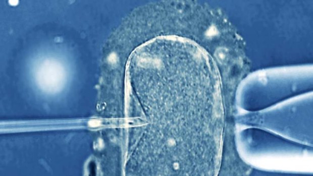 Controversial ... some fertile women are using fertility technology to prevent genetic disorders.