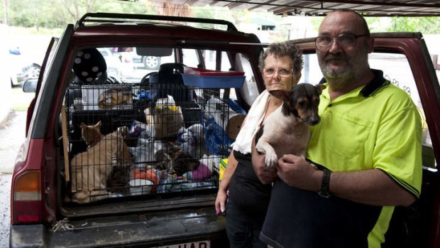 Lynette and Allan Kunst gather their animals as they prepare to evacuate their Ipswich home.