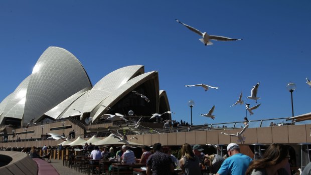 Can .Sydney attract as many visitors as the city itself?
