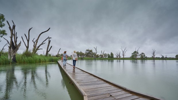 Banrock Station winery and wetlands: A winery like no other