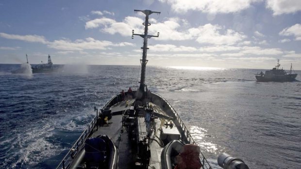 Sea Shepherd ships confront the whalers, in a file photo.