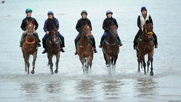 Overlooked: Almalad (second from left) and other Gai Waterhouse horses train at Altona.