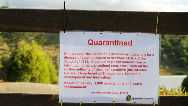 A central Queensland property has been quarantined after a horse died from Hendra virus.
