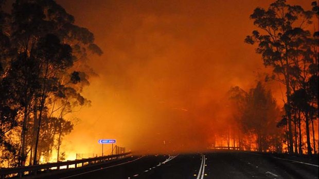 A bushfire in Shoalhaven crosses the Princes Highway on Tuesday night.