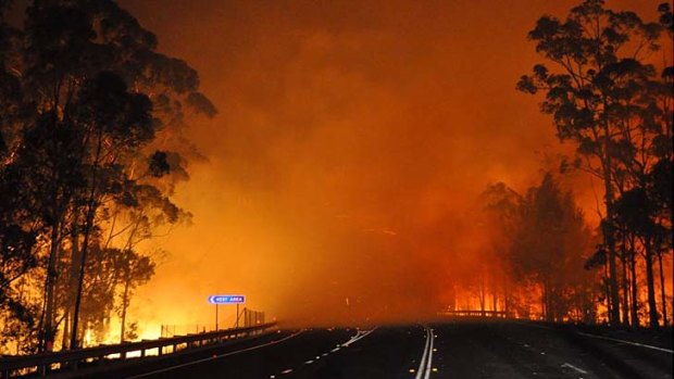 Red hot ... a bushfire in Shoalhaven crosses the Princes Highway on Tuesday night.