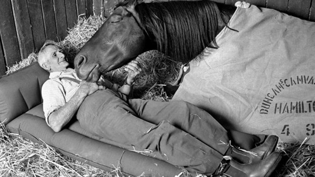 Great affinity: The famous photo of Tommy Woodcock bedding down with Reckless.