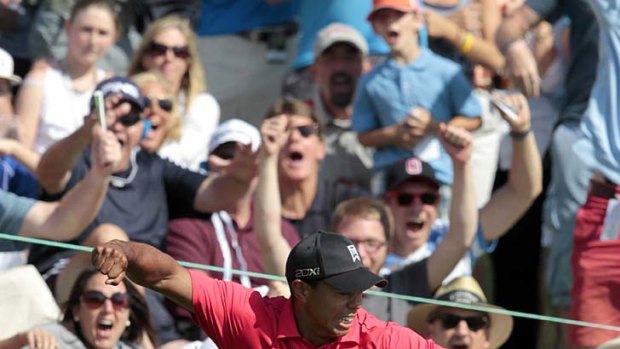 Incredible shot ... Tiger Woods  reacts after chipping in for a birdie on the 16th hole.