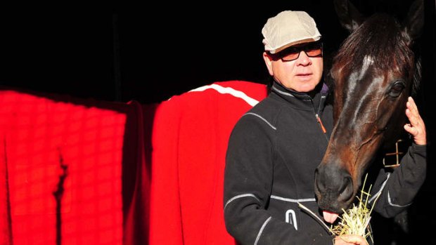"Stronger than ever": Trainer Roger James with Caulfield Cup contender Silent Achiever.
