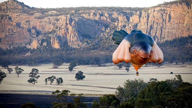 Something's afloat: The Centenary of Canberra has launched its largest commision, this sky whale hot-air balloon created by Patricia Piccinini.
