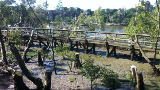 Brisbane City Council has removed the boardwalk at the city botanic gardens.