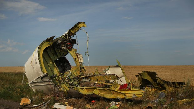The rear fuselage of flight MH17 at the crash site in the fields outside the village of Grabovka in the self proclaimed Donetsk Republic, Ukraine.
