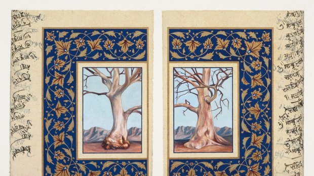 Sue Lovegrove: The Book of Trees No. 15, River Red Gums, (Eucalyptus Camaldulensis), Flinders Ranges, SA.