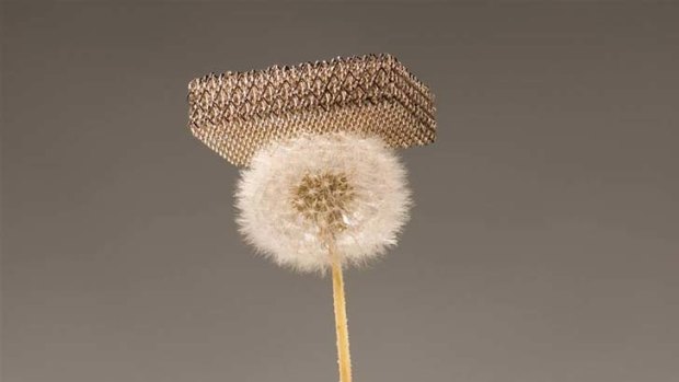 Modern marvel &#8230; the new material on a dandelion.