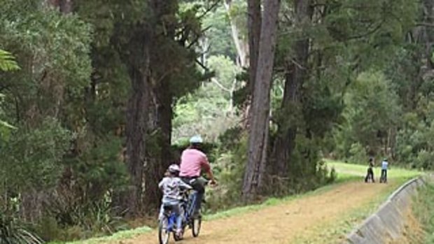 Cycling in Warburton, VIC