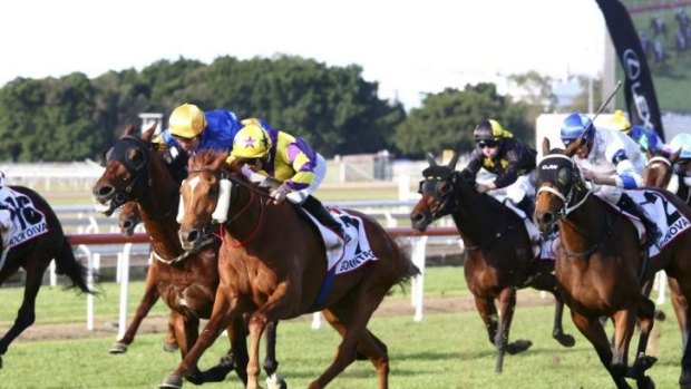 Staying power: Sonntag wins the Queensland Derby at Eagle Farm on Saturday.