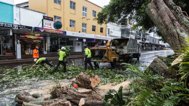 Crews clean up the damage  in Cairns from Cyclone Ita.