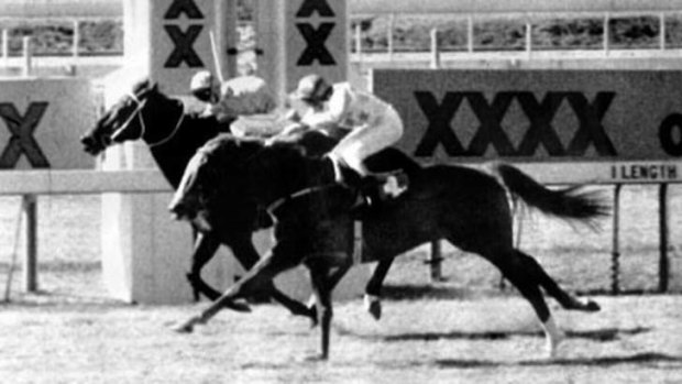 Fine Cotton ring-in Bold Personality winning a race at Eagle Farm in 1984.