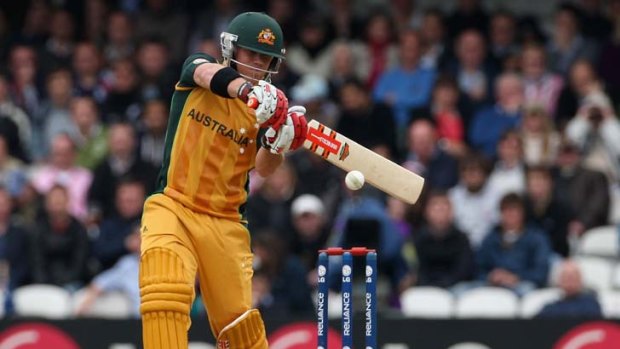 Tale of two bashers: David Warner could take over as Australian Twenty20 captain from Cameron White for the two matches to be played against India in February.