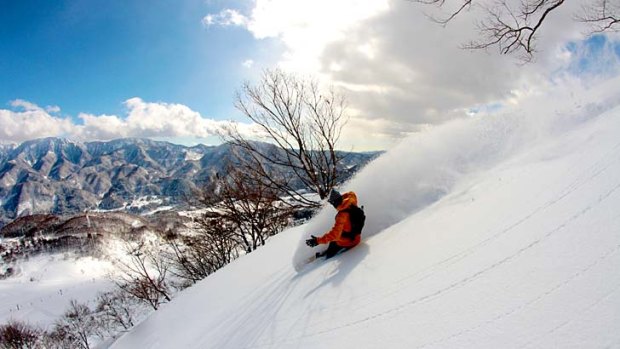 Skier numbers to Japan understandably dropped last year, but this year this year the bookings are booming.