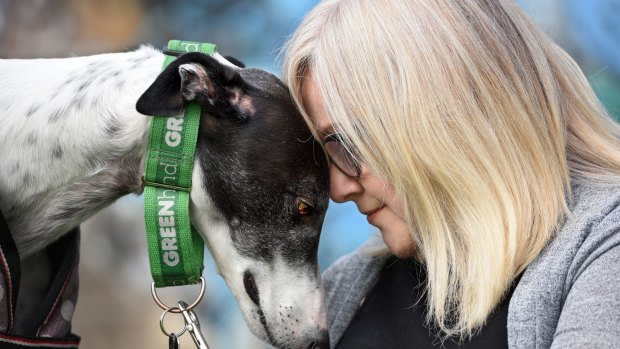 Newtown resident Laurina Chilcott and Atlas at a rally in support of the greyhound racing ban.