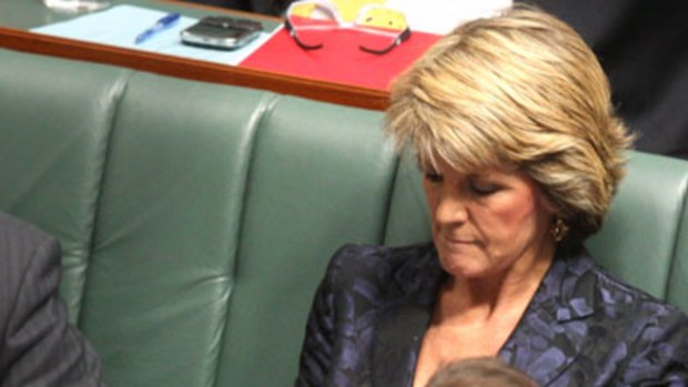 Staying on message ... Ms Bishop is said to have suggested backbenchers be kept informed.