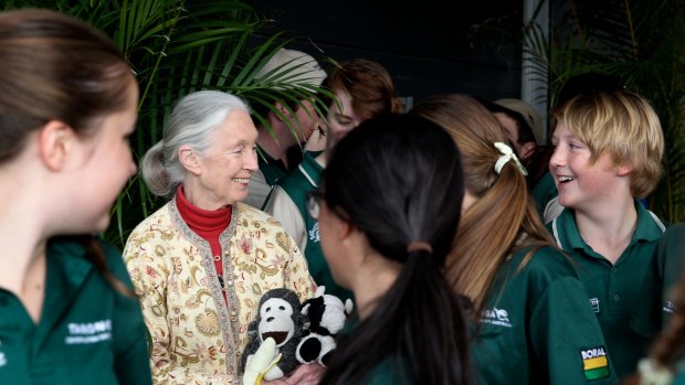 Jane Goodall at Sydney's Taronga Zoo. 