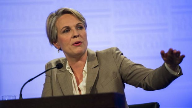 Former health minister Tanya Plibersek has secured the deputy opposition leader spot.