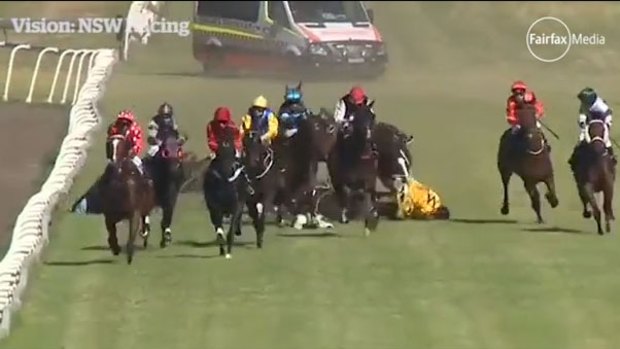 Aftermath: The horrific five-horse fall which marred the Mudgee Cup on Friday.
