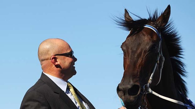 Stackhouse, who is on loan to Peter Moody (pictured) at Caulfield, will return home with a swelled bank account.