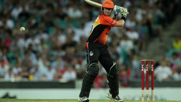 In demand: Marcus North plays for the Perth Scorchers in last year's Big Bash League.