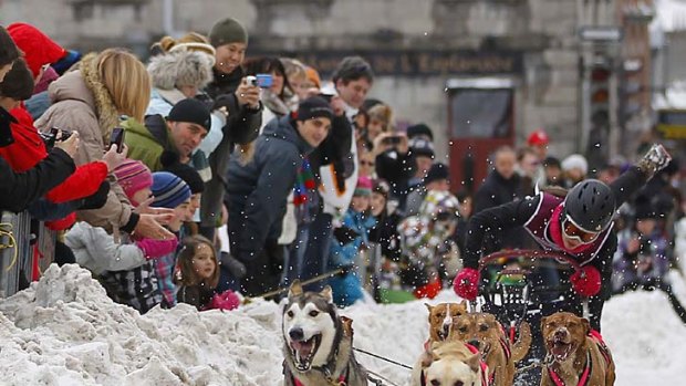 The Quebec Winter Carnival dog sled race.